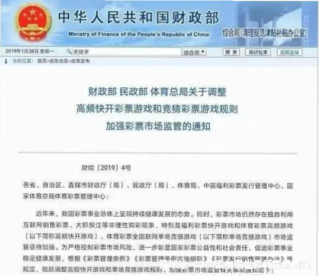 深耕体育数据十年，专业团队守护每一次预判